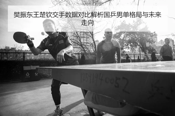 樊振东王楚钦交手数据对比解析国乒男单格局与未来走向